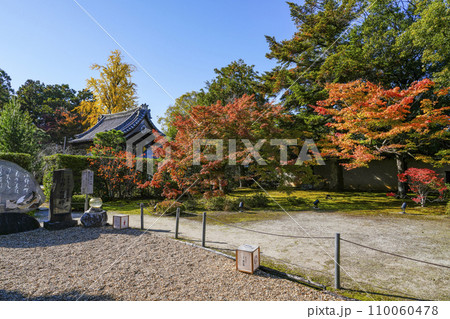 京都・山科　随心院（ずいしんいん）境内の紅葉 110060478