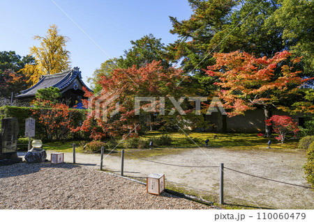 京都・山科 随心院(ずいしんいん)境内の紅葉 京都・山科 随心院(ずいしんいん)境内の紅葉 110060479