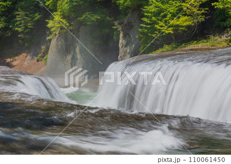 群馬県沼田市の春　新緑の吹割渓谷　吹割の滝 110061450