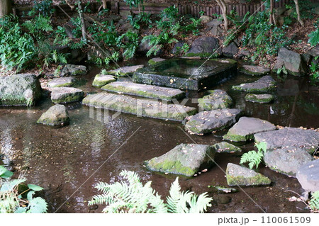 5846　井の頭恩賜公園 110061509