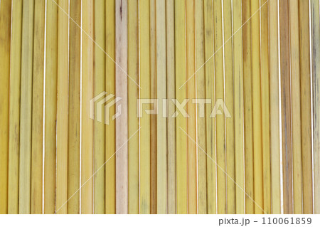 ススキの稈(茎)の背景素材 ススキの稈(茎)の背景素材 110061859