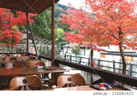 世界遺産に登録されている宮島 110062425