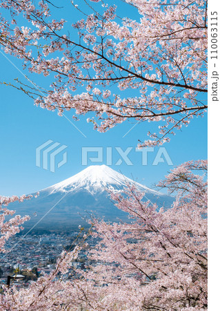 桜と富士山(新倉山浅間公園) 桜と富士山(新倉山浅間公園) 110063115