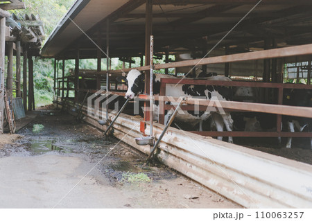 ranch 110063257