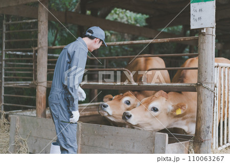 ranch 110063267