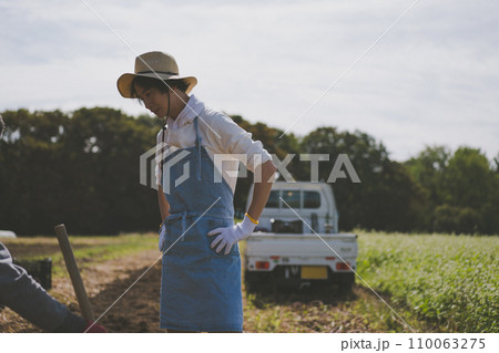 vegetable field 110063275