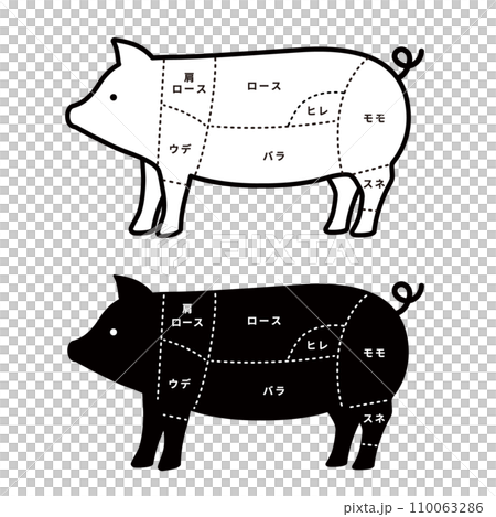 豚肉の部位のイラストセットのイラスト素材 [110063286] - PIXTA