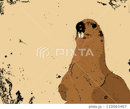 Groundhog grunge vector 110063467