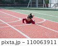 転ぶ子ども 110063911