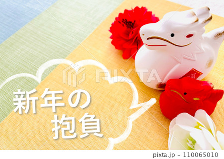 2024年の新年の抱負 110065010