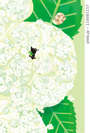 アナベルと黒猫 110065157