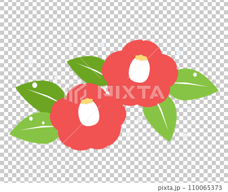 雪の中のツバキの花のイラスト 赤 雪の中のツバキの花のイラスト 赤 110065373
