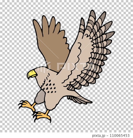翼を広げた鷹のイラスト素材 [110065453] - PIXTA