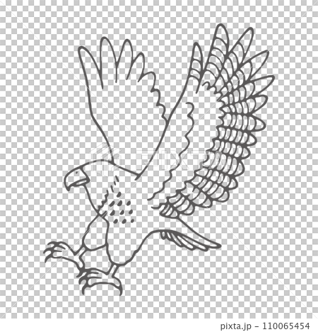 Hawk with spread wings Hawk with spread wings 110065454