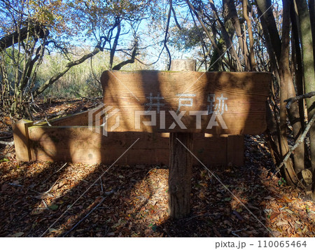 足柄城址公園　一の郭の玉ヶ池（静岡県小山町） 110065464