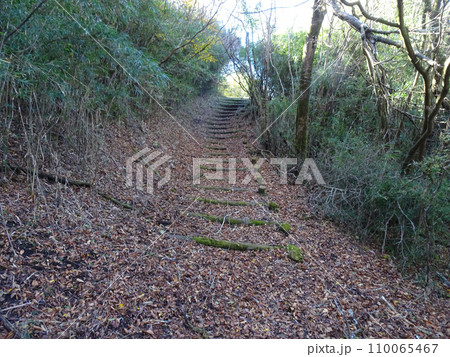 足柄城址公園内の歩道（静岡県小山町） 110065467