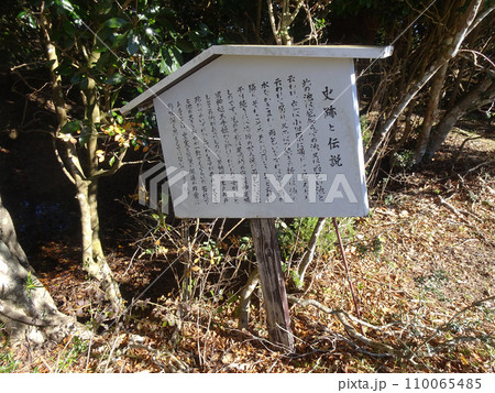 足柄城址公園 一の郭の玉ヶ池(静岡県小山町) 足柄城址公園 一の郭の玉ヶ池(静岡県小山町) 110065485