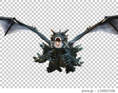 Dragon Dragon 110065506