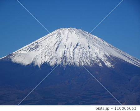 足柄城址公園から望む富士山(静岡県小山町) 足柄城址公園から望む富士山(静岡県小山町) 110065653