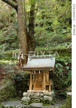 京都　貴船神社奥宮　連理の杉（ご神木）と日吉社末社 110065822