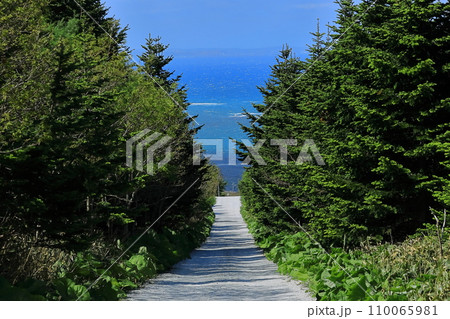 北海道宗谷丘陵の白い道 110065981