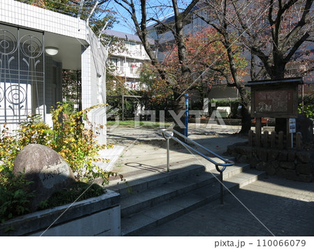 豊島区の山吹の里公園 110066079