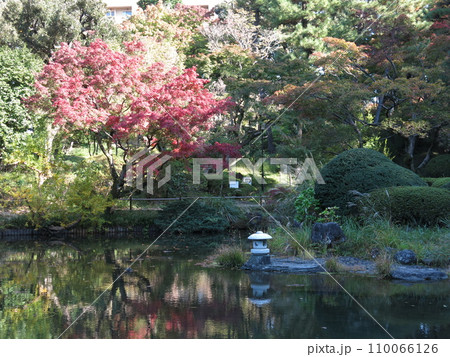 紅葉が美しい新宿区の甘泉園公園（上池） 110066126