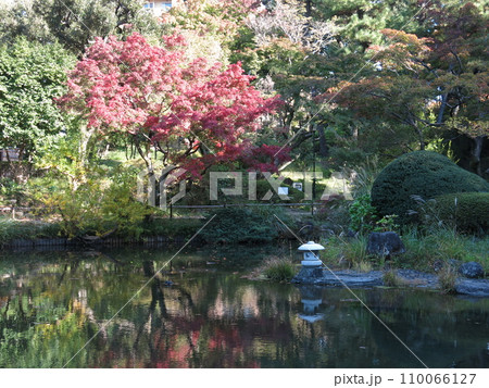 紅葉が美しい新宿区の甘泉園公園（上池） 110066127