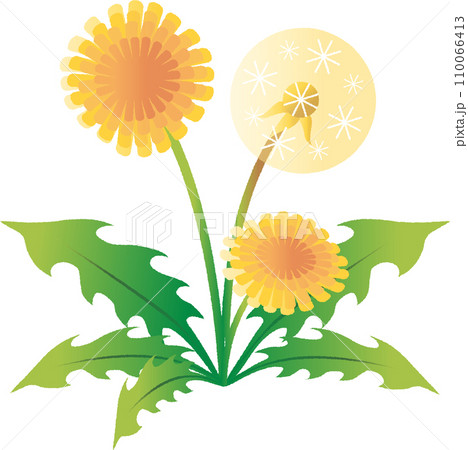 たんぽぽ 春 花 植物 シンプル ベクター イラスト素材 たんぽぽ 春 花 植物 シンプル ベクター イラスト素材 110066413