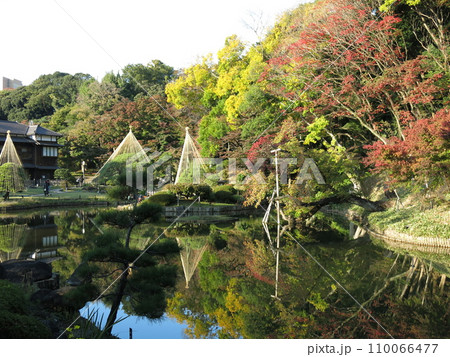 紅葉や雪吊りが美しい文京区の肥後細川庭園(大池・松聲閣) 紅葉や雪吊りが美しい文京区の肥後細川庭園(大池・松聲閣) 110066477
