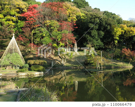 紅葉や雪吊りが美しい文京区の肥後細川庭園（大池・十三重の塔） 110066479