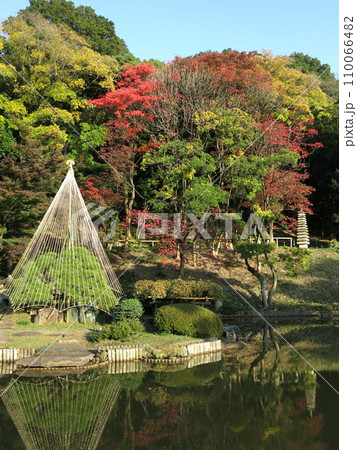 紅葉や雪吊りが美しい文京区の肥後細川庭園(大池・十三重の塔) 紅葉や雪吊りが美しい文京区の肥後細川庭園(大池・十三重の塔) 110066482
