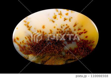 デンドリティック・アゲート 風景を宿す石 110066508