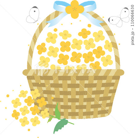 あしらい　飾り　デコレーション　菜の花　植物　春　イラスト素材 110066630