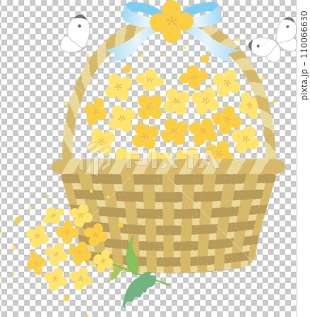 Treat decoration decoration rape blossoms plant spring illustration material 110066630