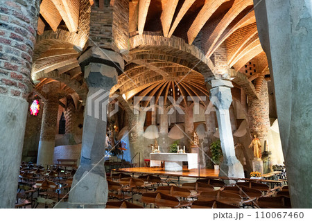 コロニアグエル 110067460