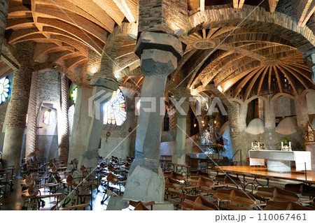 コロニアグエル 110067461