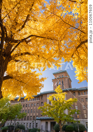 《神奈川県》横浜日本大通り・キングの塔と黄葉のイチョウ並木 《神奈川県》横浜日本大通り・キングの塔と黄葉のイチョウ並木 110067609