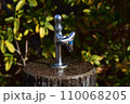 水が流れる公園の水飲み場 110068205