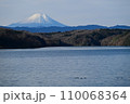 狭山湖から見た冠雪した富士山 110068364