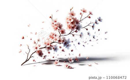 写真っぽいイラストの桜の枝 110068472