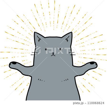 神々しい猫。黒猫。 神々しい猫。黒猫。 110068624