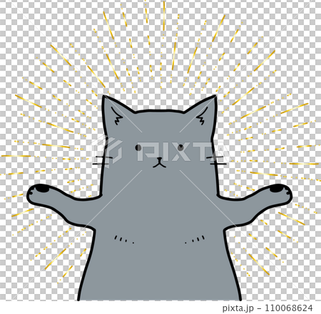 神々しい猫。黒猫。 神々しい猫。黒猫。 110068624