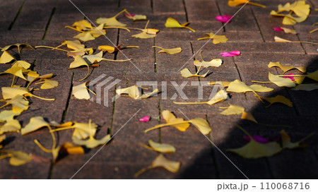 落ち葉と人影シルエット 110068716