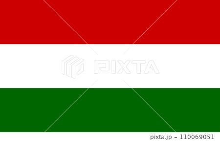 The national flag of Hungary vector illustration with official color The national flag of Hungary vector illustration with official color 110069051