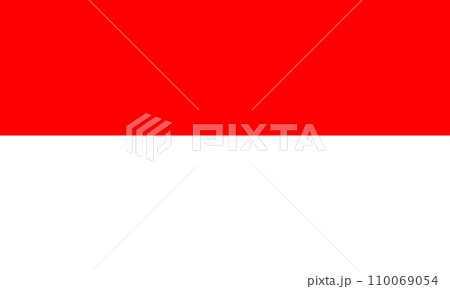 The national flag of Indonesia vector illustration The national flag of Indonesia vector illustration 110069054