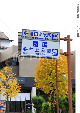 湯田温泉街 イチョウの木と道路標示 湯田温泉街 イチョウの木と道路標示 110070065