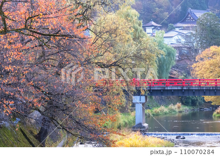 231109中橋g009 110070284
