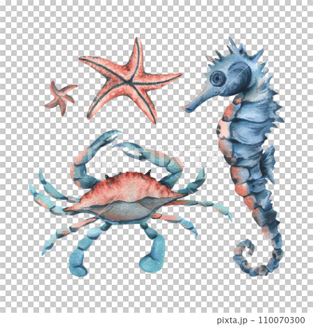 Underwater world clipart with sea animals seahorse, starfish, crab. Hand drawn watercolor illustration. Set of isolated objects on a white background. 110070300