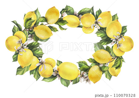 Lemons are yellow, juicy, ripe with green leaves, flower buds on the branches, whole and slices. Watercolor, hand drawn botanical illustration. Oval frame, wreath, template on a white background 110070328